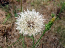 IMG 5573